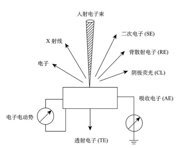 掃描電鏡的結構及工作原理