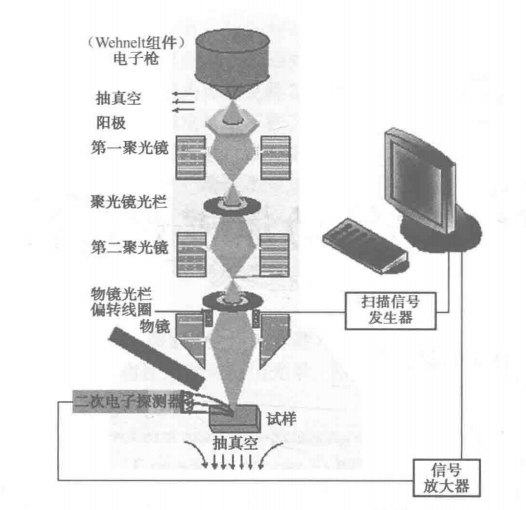 臺(tái)式掃描電子顯微鏡結(jié)構(gòu)原理示意圖