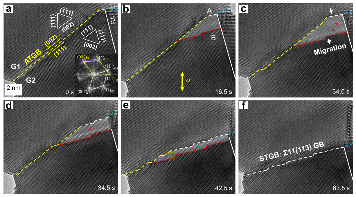 晶界動態調整的原位觀測