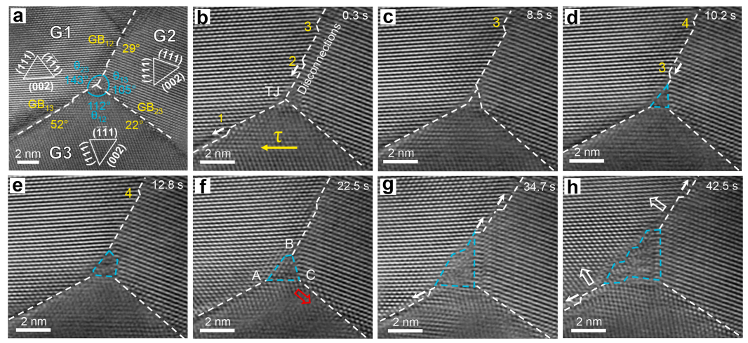 三叉晶界動態(tài)重構(gòu)的原位觀測