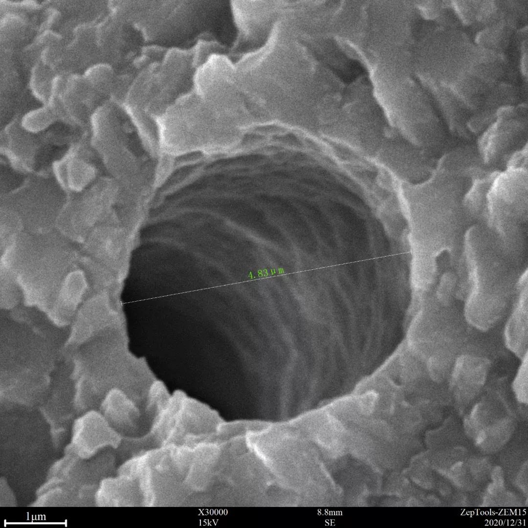 臺式掃描電鏡3萬倍下的孔洞特寫